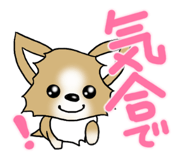 Chihuahua's Sticker!2 sticker #5794874