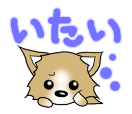 Chihuahua's Sticker!2 sticker #5794876