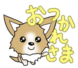 Chihuahua's Sticker!2 sticker #5794877