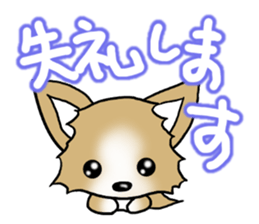 Chihuahua's Sticker!2 sticker #5794879