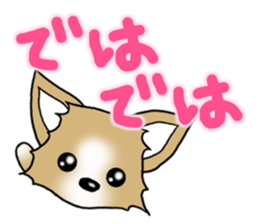 Chihuahua's Sticker!2 sticker #5794880