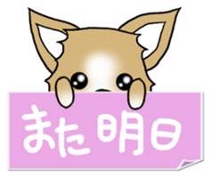 Chihuahua's Sticker!2 sticker #5794881