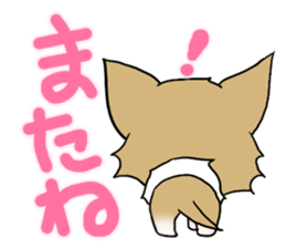 Chihuahua's Sticker!2 sticker #5794882