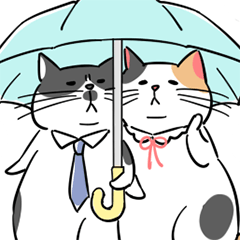 A couple of stray cats part 2