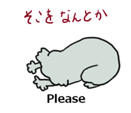 Koala going to Osaka sticker #5798246