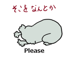 Koala going to Osaka sticker #5798246