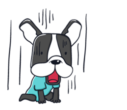 AUSTIN FRENCH BULLDOG sticker #5798519