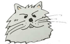 Kool Katz 1 sticker #5799045