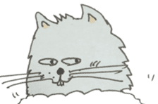 Kool Katz 1 sticker #5799047