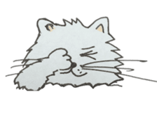 Kool Katz 1 sticker #5799064