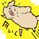 Poodlle Sticker sticker #5800412