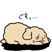 Poodlle Sticker sticker #5800414