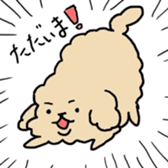 Poodlle Sticker sticker #5800417