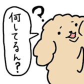 Poodlle Sticker sticker #5800437