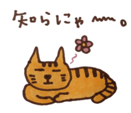 cute cat speaks Japanese local dialect sticker #5801736