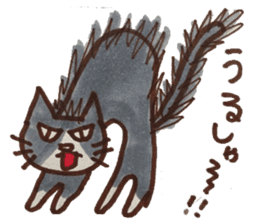 cute cat speaks Japanese local dialect sticker #5801741