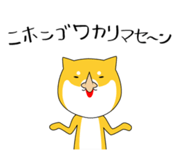 The faithful dog not a Shiba Inu 2nd sticker #5802288