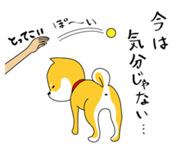 The faithful dog not a Shiba Inu 2nd sticker #5802296