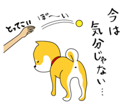 The faithful dog not a Shiba Inu 2nd sticker #5802296