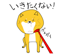 The faithful dog not a Shiba Inu 2nd sticker #5802298