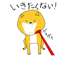 The faithful dog not a Shiba Inu 2nd sticker #5802298