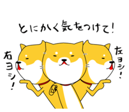 The faithful dog not a Shiba Inu 2nd sticker #5802307