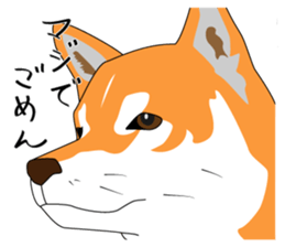 The faithful dog not a Shiba Inu 2nd sticker #5802308