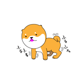 The faithful dog not a Shiba Inu 2nd sticker #5802314