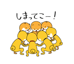 The faithful dog not a Shiba Inu 2nd sticker #5802315