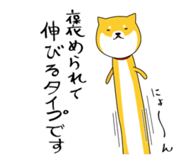 The faithful dog not a Shiba Inu 2nd sticker #5802320