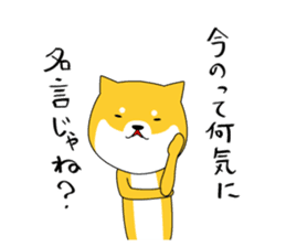 The faithful dog not a Shiba Inu 2nd sticker #5802321