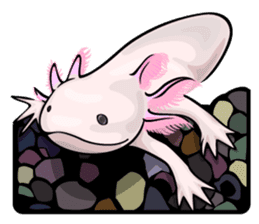 Aqua Life U-PA sticker #5804963