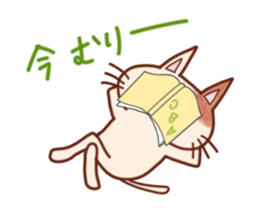 Funny everyday of cat and mouse sticker #5805598