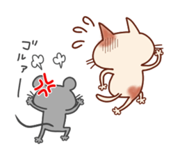 Funny everyday of cat and mouse sticker #5805602