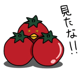 Tomatorisan sticker #5807955