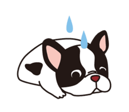 French Bulldog BOO (pied) sticker #5808491