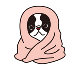 French Bulldog BOO (pied) sticker #5808509