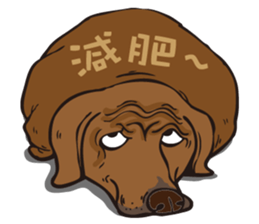 0.5mm Dachshund V.S Corgi sticker #5811419