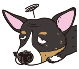 0.5mm Dachshund V.S Corgi sticker #5811425