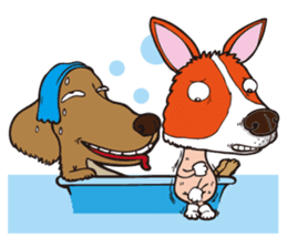 0.5mm Dachshund V.S Corgi sticker #5811430