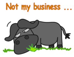 The horse's SAFARI sticker #5811758