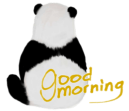 ANIMALS in English sticker #5811764