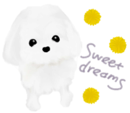 ANIMALS in English sticker #5811798