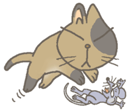 Cat / Chat 4 Picture only sticker #5814567