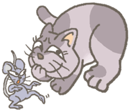 Cat / Chat 4 Picture only sticker #5814582