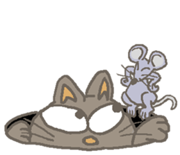 Cat / Chat 4 Picture only sticker #5814590