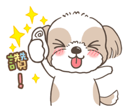 Sarah & King (Lovely Shih Tzu) sticker #5814842