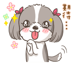Sarah & King (Lovely Shih Tzu) sticker #5814860