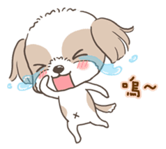 Sarah & King (Lovely Shih Tzu) sticker #5814871