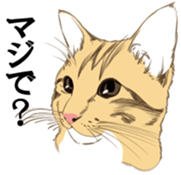 Scarf cat sticker #5815081
